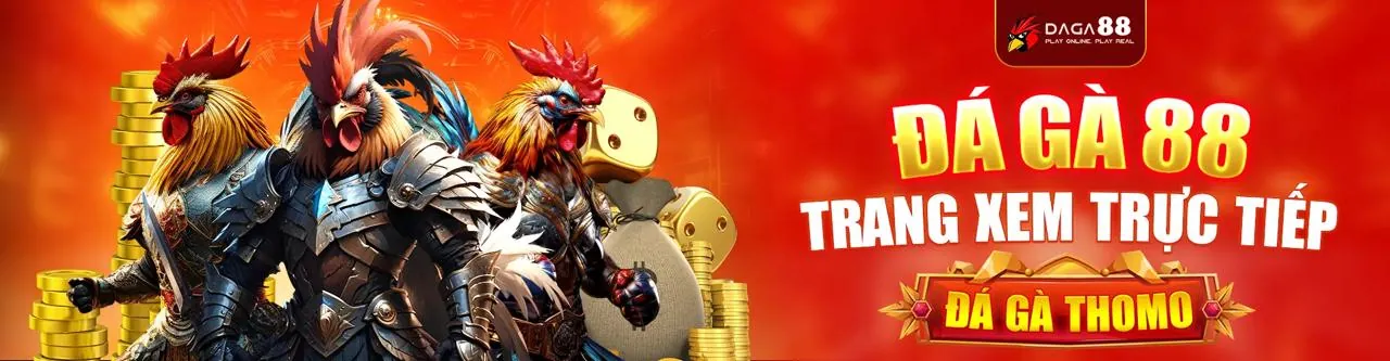 Đá gà trực tuyến ho88 app với trận đấu kịch tính